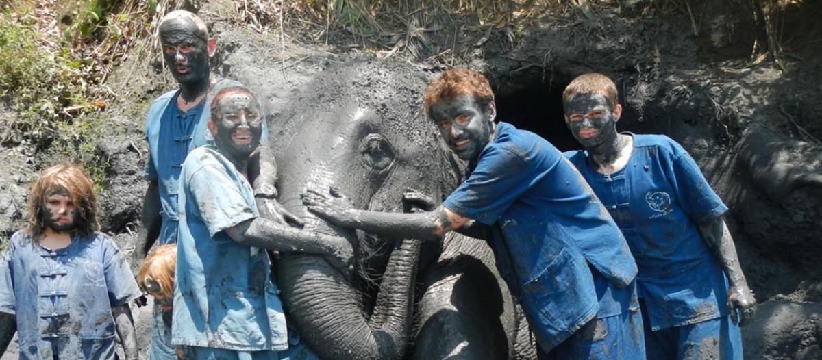 Elephant Riding and the natural black mud spa with the elephants (2 hrs.)