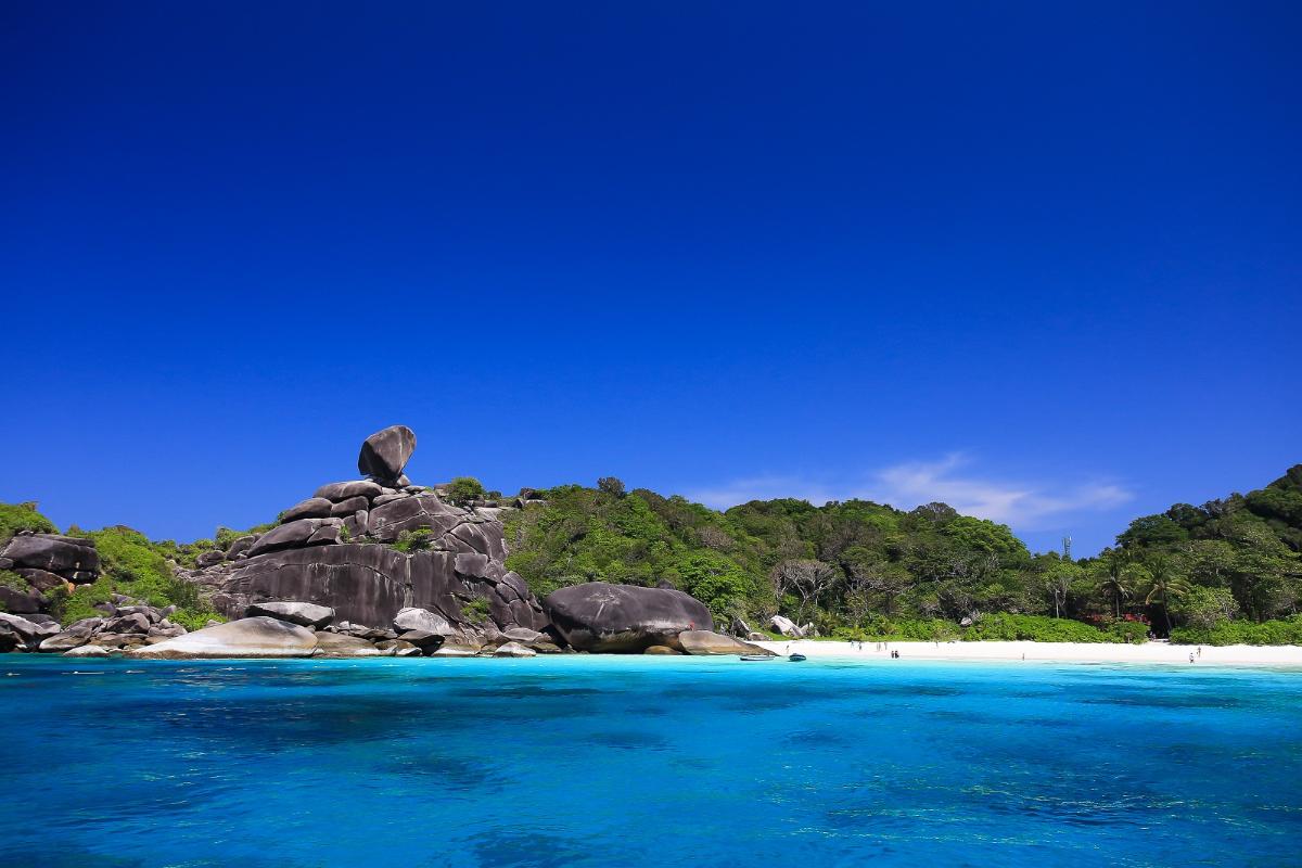 Snorkeling Similan Island <Speed boat>  (1 Day)