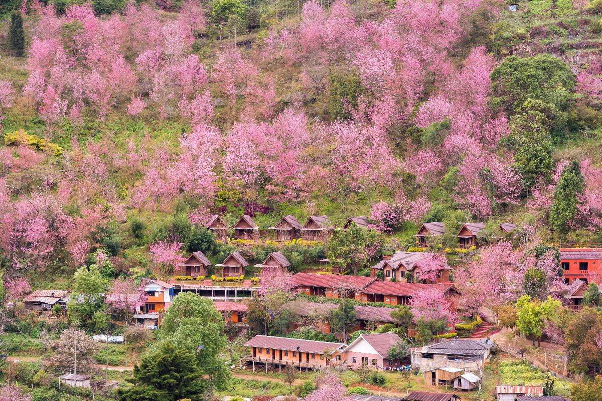 Package Tour Doi Inthanon - Doi Ang Khang  (3D2N)