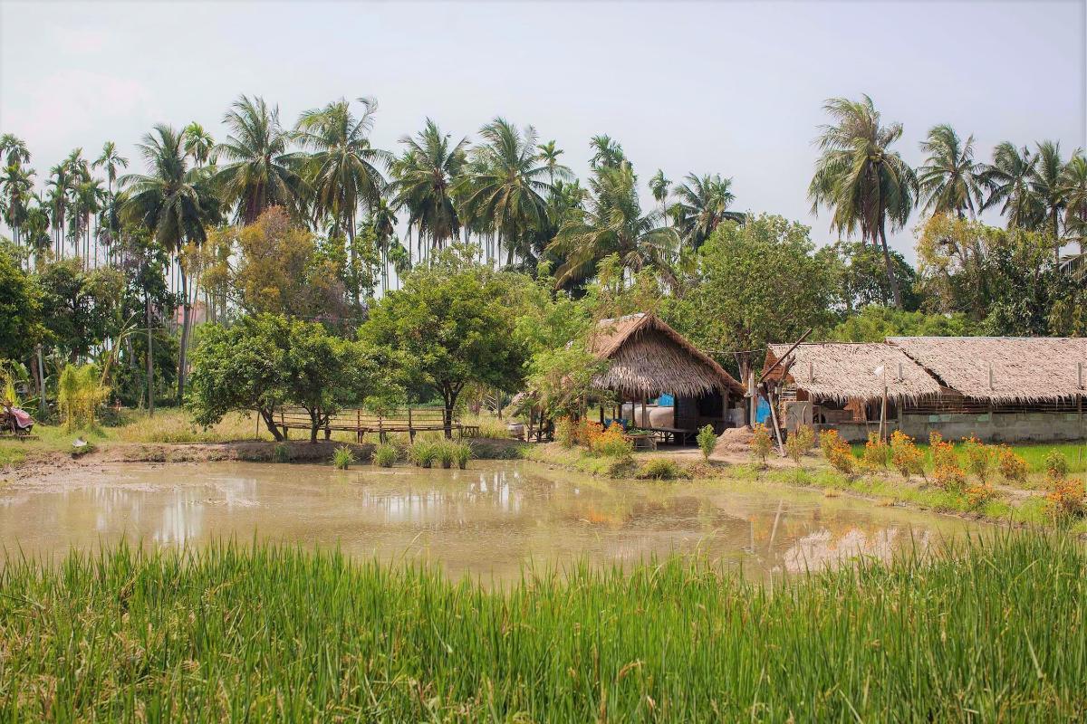 Local Organic farm tour  (2 hour)